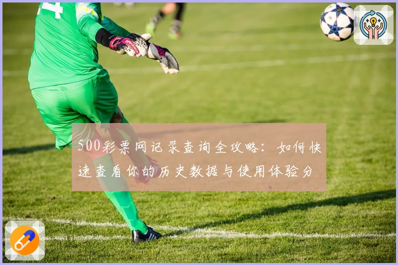 500彩票网记录查询全攻略：如何快速查看你的历史数据与使用体验分析