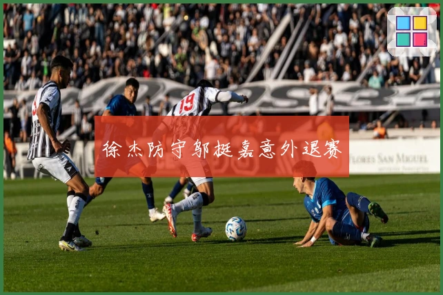 徐杰防守邬挺嘉意外退赛