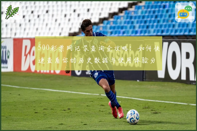 500彩票网记录查询全攻略：如何快速查看你的历史数据与使用体验分析
