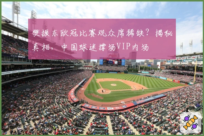 樊振东欧冠比赛观众席稀缺？揭秘真相，中国球迷撑场VIP内场